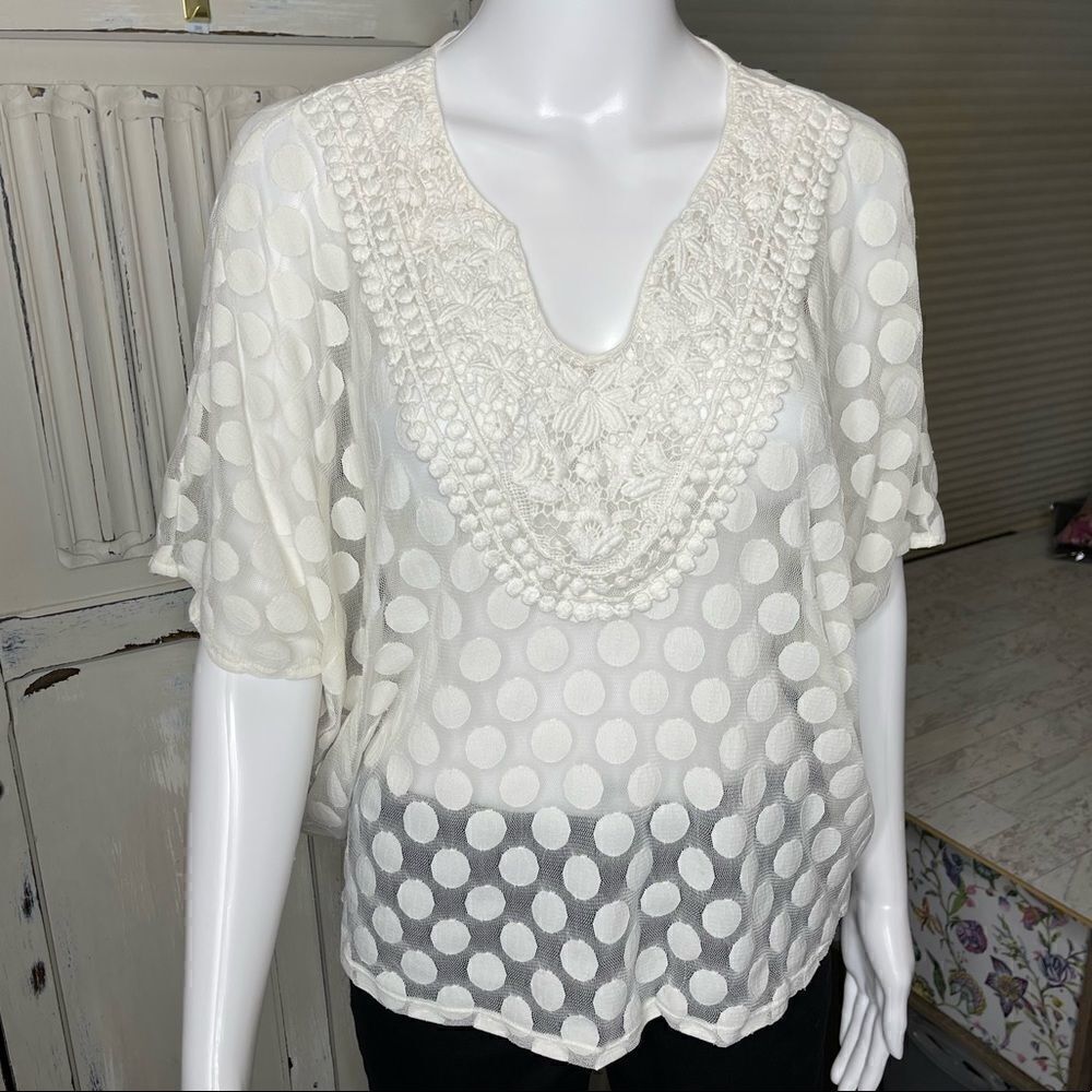 Alfani Off White Sheer Embroidered Neckline Pullover Blouse Top Size PM